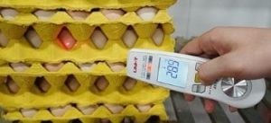 Unit A63 Dijital Gıda Termometresi