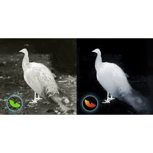 Thermal Master T2 Pro İOS Uyumlu Gece Görüşlü Monoküller Termal Kamera