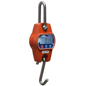 Desis ocs-c-100 OCS-C Vinç Baskülü 100KG