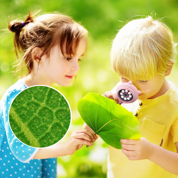 Loyka MG355 Eğitici 500X Dijital El Mikroskobu